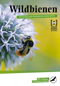 Wildbienen_DRUCK_Titel