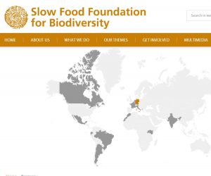 sffoundationforbiod