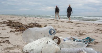 Clean-up im Rahmen eines Seminars zum Bundesfreiwilligendienstes