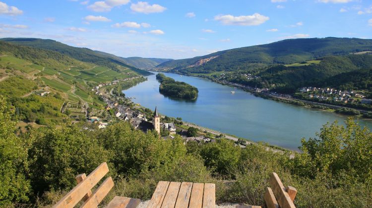 Schönste Weinsicht 2020 in Lorch am Rhein - Ausblick an der Ruine Nollig