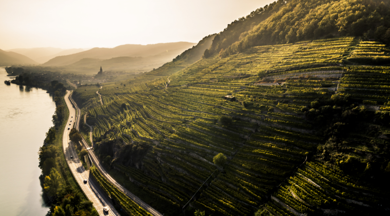 Typisch Wachau: Donau, Steinterrassen und nun auch Wachau DAC – Foto: ÖWM/Robert Herbst