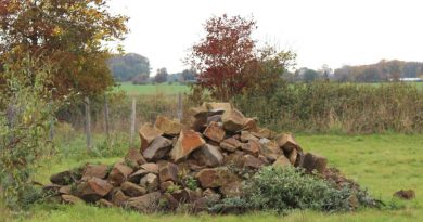 Lesesteinhaufen - Bild: Landwirtschaftskammer Nordrhein-Westfalen