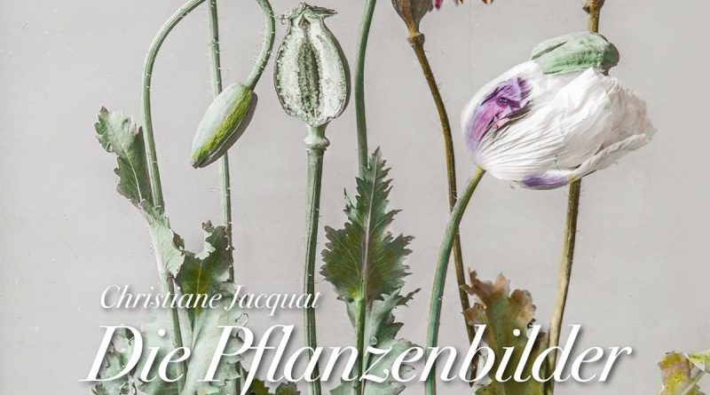 Pflanzenbilder des I.H. von Christiane Jacquat - Erschienen im AT Verlag