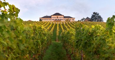 Schloss Johannisberg_Foto: Schloss Johannisberg