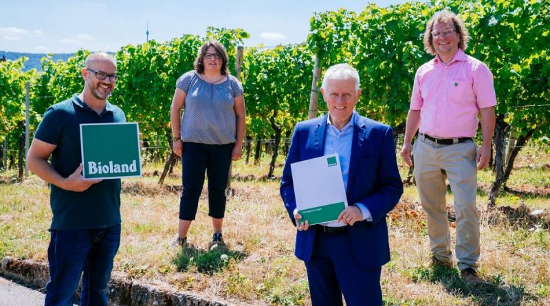 ¬ Weingut der Stadt Stuttgart jetzt Bioland zertifiziert - Foto: Niedermüller, Rechte: LH