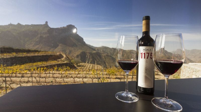 Bodegas Bentayga auf Gran Canaria - Foto: Bodeges Bentayqa