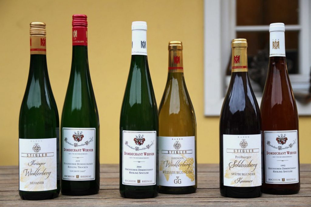 Online-Weinprobe Rheingau & Baden mit den Weingütern Stigler und Domdechant Wernerschen  - Foto: Weingut Stigler