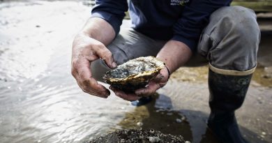 Ode to Shellfish Kampagne von Relais & Châteaux zum UN World Oceans Day - Foto: Relais & Châteaux