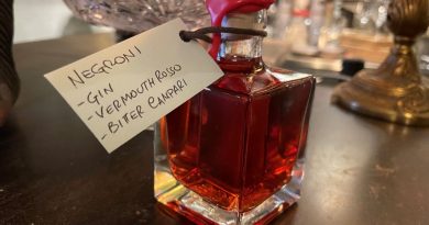 Cocktail für zu Hause "Negroni" - Foto Paragon 700 Hotel & Spa
