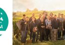 Interview – Das Weinjahr 2022 im Bordeaux
