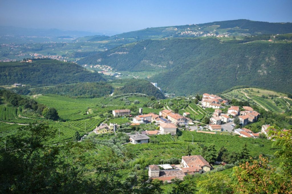Valpollicella - Foto: Consorzio Tutela dei Vini Valpolicella Classico