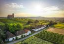 Österreichs Weinjahrgang 2023