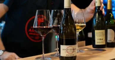 Wein neu erleben: Der Cercle des Arômes startet in Deutschland