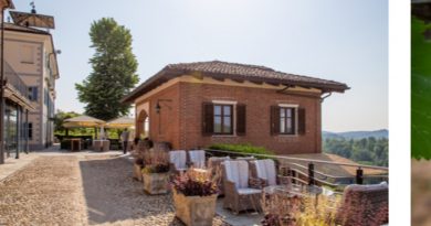 Mit Delinat auf Reisen – nachhaltiger Weingenuss zwischen Kultur, Natur und Lebensfreude