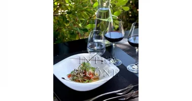 Côtes du Rhône: Französische Rotweine für herbstliche Genussmomente