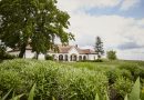 Tokaj: Kultur, Natur und Wein – ein Herbst voller Entdeckungen