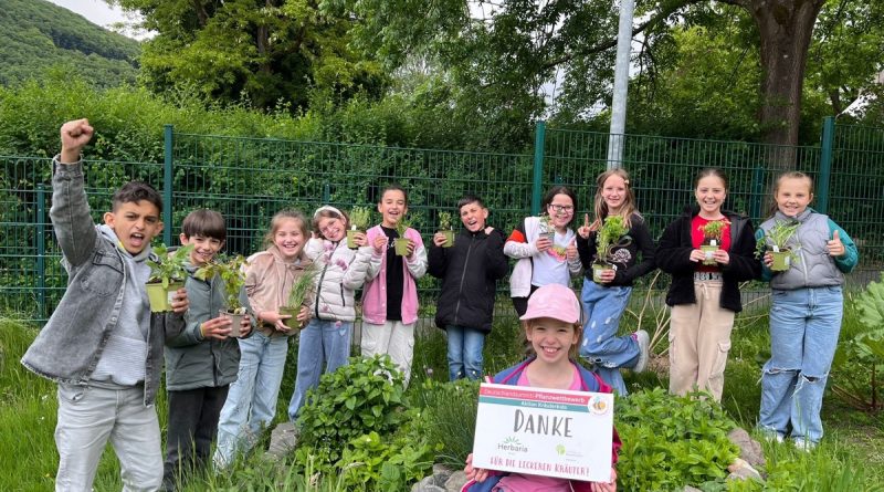Wenn Kräuter blühen: Herbaria unterstützt Bienen und Biodiversität