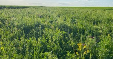 Auszeichnung für Spitzenleistung – Marie Christin Baunach geehrt