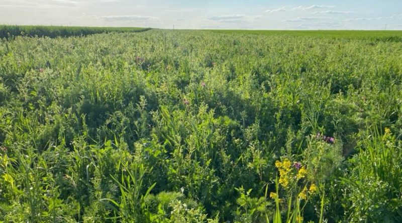 Auszeichnung für Spitzenleistung – Marie Christin Baunach geehrt