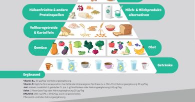 Neuauflage der Gießener veganen Lebensmittelpyramide bietet wissenschaftlich fundierte Orientierung