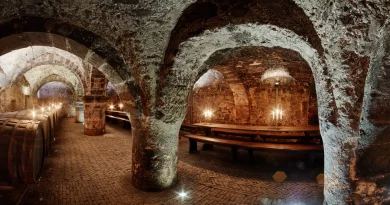 Wein-Raritätenverkostung im ältesten Weinkeller Deutschlands – Im Stiftungsweingut Vereinigte Hospitien in Trier