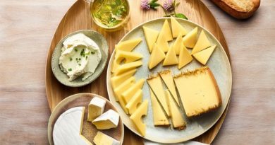 Käse & Co.: Kraft aus Milchsäurebakterien