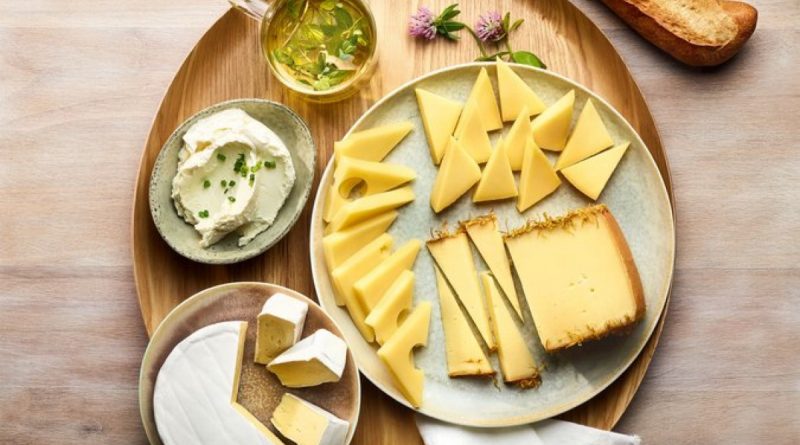 Käse & Co.: Kraft aus Milchsäurebakterien