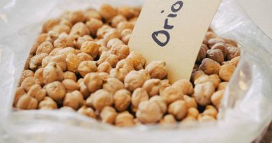 Hülsenfrüchte im Aufwind: Mehr Vielfalt für Äcker, Klima und Ernährung