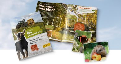 Spielerisch lernen, nachhaltig handeln: Das Stickerheft „Abenteuer Bio-Landwirtschaft“
