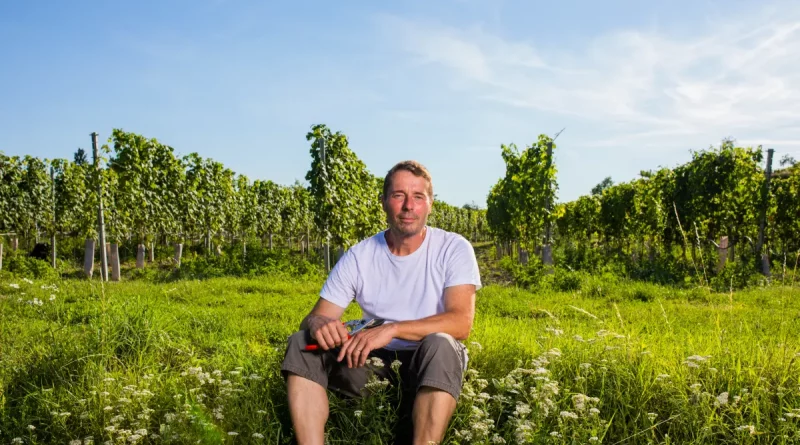 Vitikultur MOSER – 20 Jahre biodynamischer Weinbau
