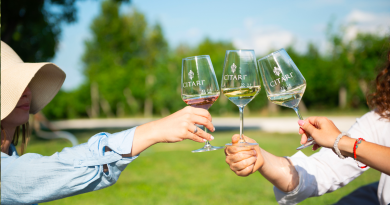 Citari: Charakterstarke Weine vom Gardasee mit Tradition und Innovationsgeist