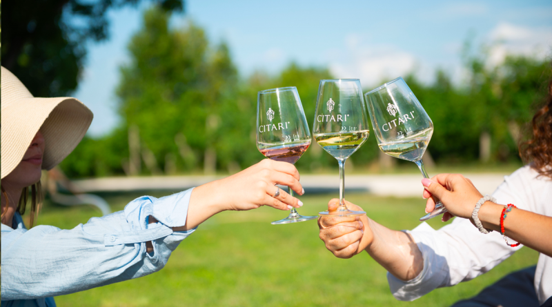 Citari: Charakterstarke Weine vom Gardasee mit Tradition und Innovationsgeist