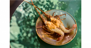 Mediterrane Avantgarde im Royal Mansour Marrakech