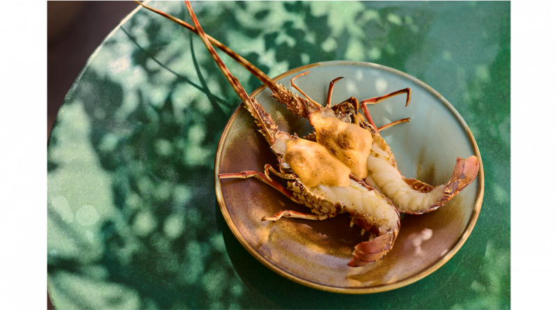 Mediterrane Avantgarde im Royal Mansour Marrakech
