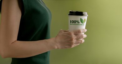 Bio-Plastik: Die unterschätzten Umweltprobleme vermeintlich grüner Alternativen