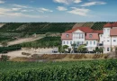 Neverland Vineyards: Wo Weinbau auf Leidenschaft trifft