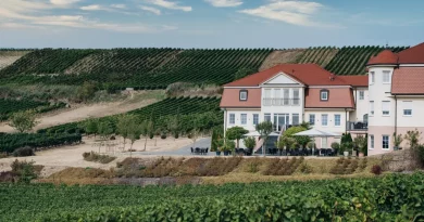 Neverland Vineyards: Wo Weinbau auf Leidenschaft trifft
