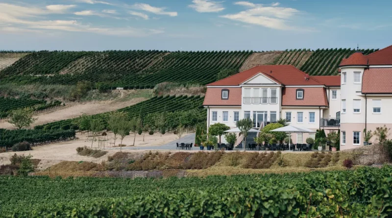 Neverland Vineyards: Wo Weinbau auf Leidenschaft trifft