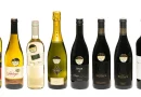 SALON Österreich Wein 2026: Herkunft rückt stärker in den Mittelpunkt