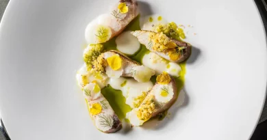 Maslina Resort: Mediterranes Ceviche bringt den Geschmack der Adria auf den Teller