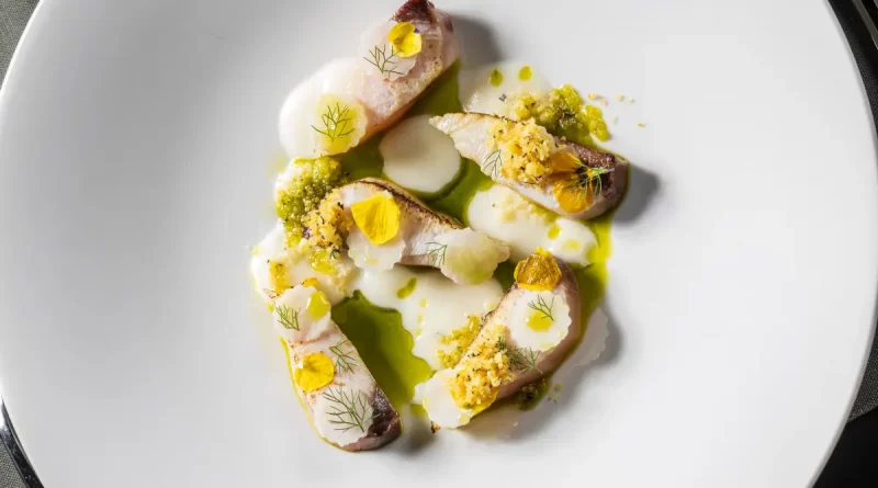 Maslina Resort: Mediterranes Ceviche bringt den Geschmack der Adria auf den Teller