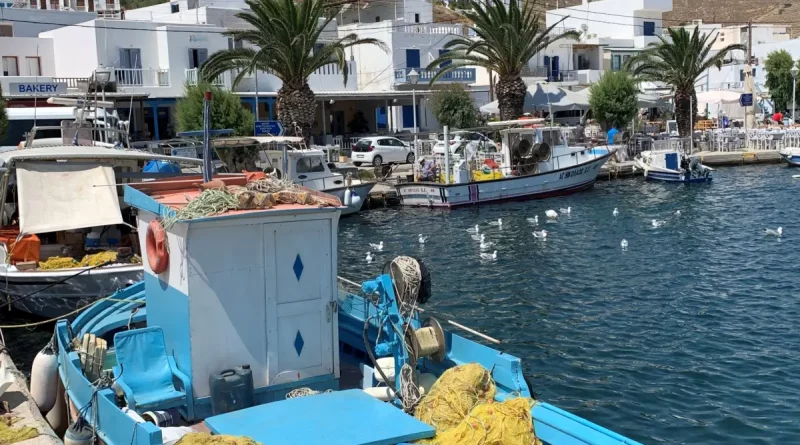MSC: Nachhaltiger Fischgenuss im Mittelmeerurlaub beginnt mit der richtigen Frage