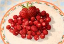 „Walderdbeeren: NABU gibt Tipps zur kurzen, aromatischen Waldsaison“