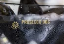 Prosecco DOC erleben: Genussreise durch Treviso, Weinberge und venezianische Küche