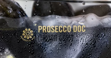 Prosecco DOC erleben: Genussreise durch Treviso, Weinberge und venezianische Küche