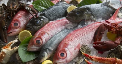 Four Seasons Resort Oʻahu: Fisch-Sommelier macht den Restaurantbesuch zum besonderen Erlebnis