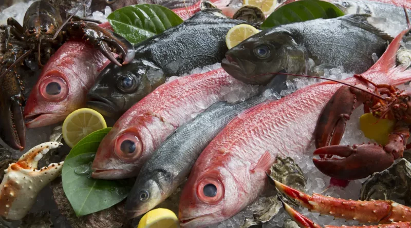 Four Seasons Resort Oʻahu: Fisch-Sommelier macht den Restaurantbesuch zum besonderen Erlebnis