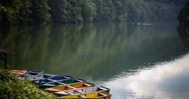 Coolcation in Ungarn: Sommerfrische zwischen Wäldern, Bergen und Seen
