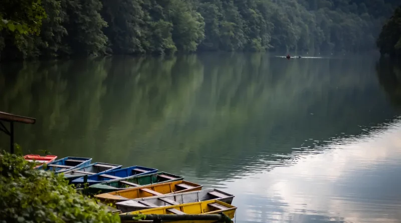 Coolcation in Ungarn: Sommerfrische zwischen Wäldern, Bergen und Seen