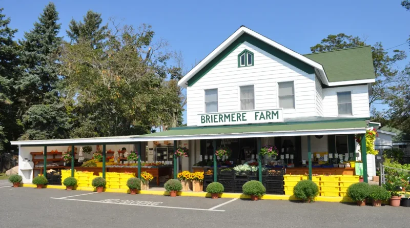 Long Island im Herbst: Zwischen Weinbergen, Apfelgärten und Farmabenteuern
